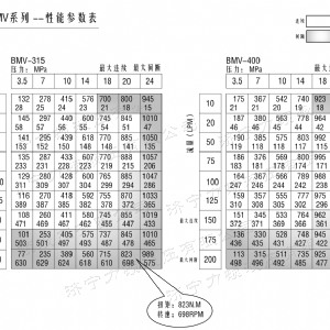 BMV无轴承系列马达