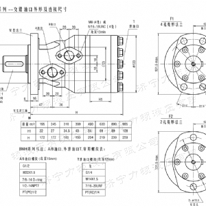 BMH系列交错油口液压马达